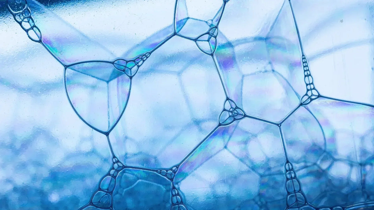 Collagen under microscope showing bubbles