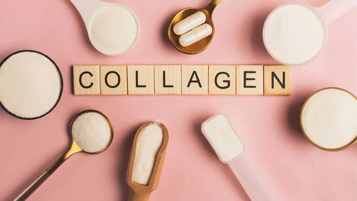 What is Collagen: The Glue Holding Your Body Together