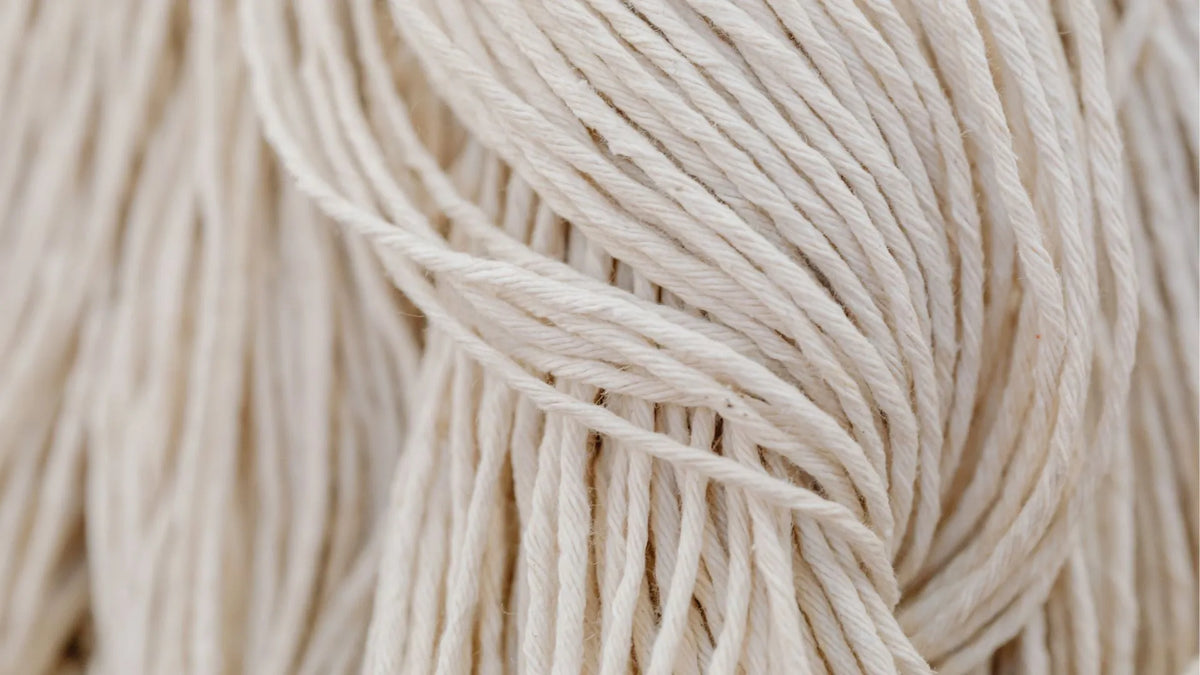 What is Collagen Fibrilis: Nature's Strong Ropes in Your Body – SKINERGY